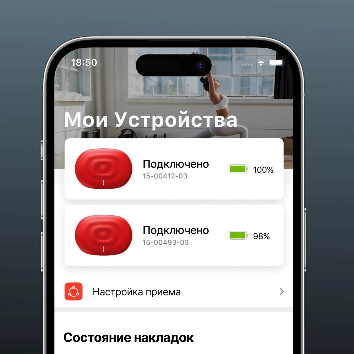 Мобильное приложение Павердот с подключенными устройствами